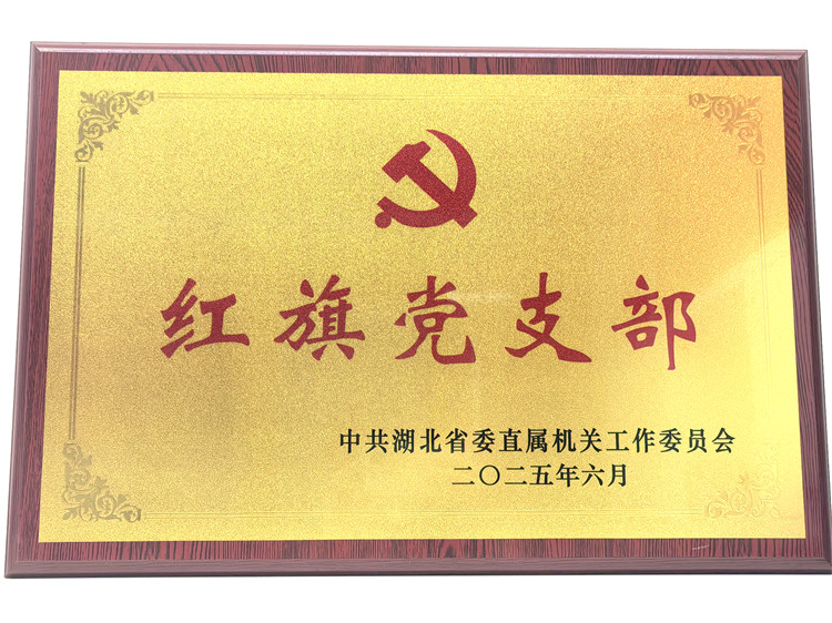 喜报！知音传媒集团教育公司党支部获评省直机关“红旗党支部”